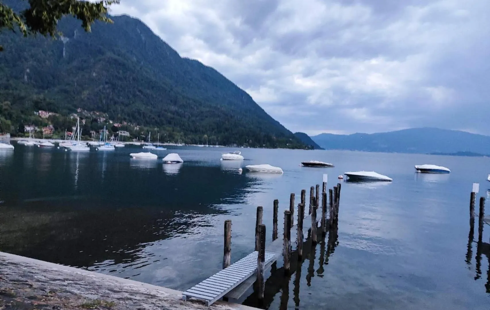 Natura Tra Bosco E Lago Castelveccana Italien